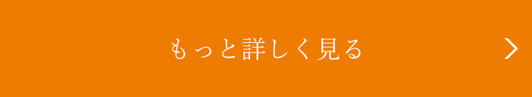 もっと詳しく見る